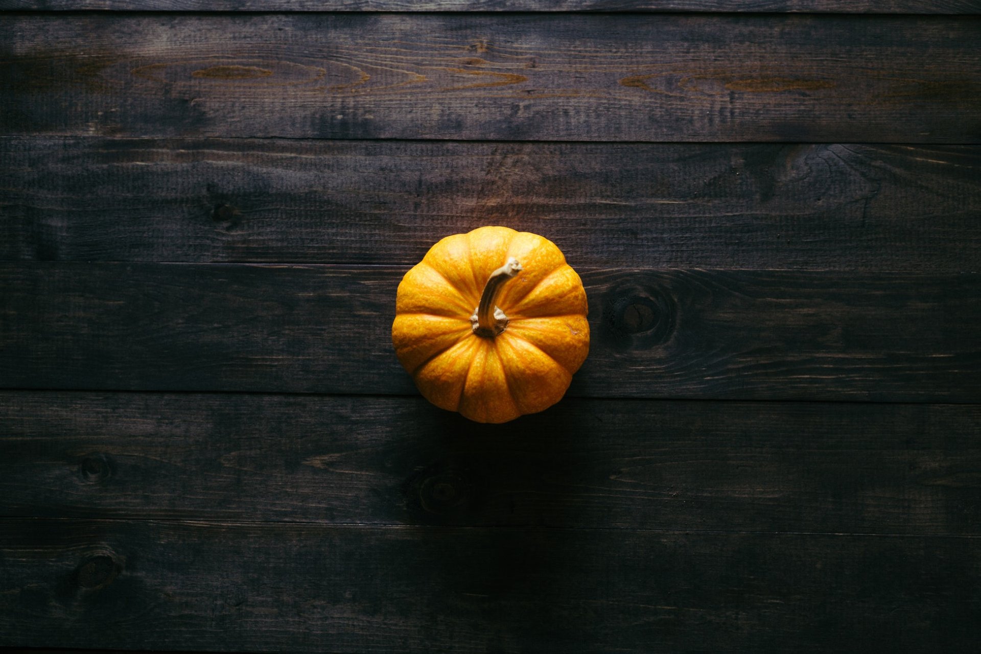 Little Pumpkin – Image 4
